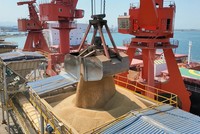 Nhập khẩu đậu tương Mỹ của Trung Quốc chững lại khi tồn kho tăng kỷ lục