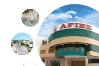 Afiex (AFX) muốn bán toàn bộ 15% vốn tại đơn vị kinh doanh siêu thị