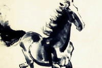 Nhiều doanh nhân thành đạt về hưu năm Ngọ