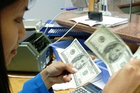 Thị trường ngoại hối đã đi vào ổn định