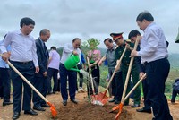 Chủ tịch nước Nguyễn Xuân Phúc tham gia trồng vườn cây mắc ca tại xã Nà Nhạn (Thành phố Điện Biên Phủ, tỉnh Điện Biên)