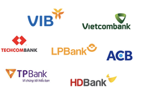 VIB dẫn dầu toàn ngành ngân hàng ở cả chỉ tiêu ROE và tăng trưởng doanh thu.