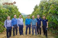 LPBank dành 6.000 tỷ đồng cho một hành trình xanh
