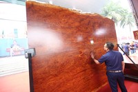 Sập gỗ 3,7 tỷ đồng thu hút người xem tại Vietbuild 2018