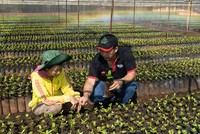 Thương hiệu Nestlé được định giá lên đến 22,4 tỷ USD