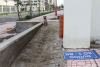 Hoang tàn siêu dự án tái định cư Bình Khánh, TP.HCM