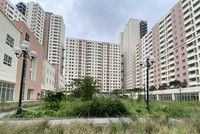 TP.HCM: Chuyển giao việc quản lý vận hành quỹ nhà ở, đất ở thuộc sở hữu nhà nước