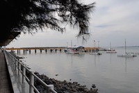 Chính phủ yêu cầu làm rõ bức xúc của chủ đầu tư vịnh Marina