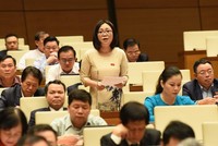 Đại biểu Phạm Thị Minh Hiền (Phú Yên).