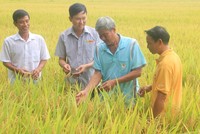 Nông dân tại An Giang trao đổi với "Lực lượng 3 cùng" của Lộc Trời (Ảnh: Hồng Phúc).