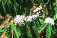 [Góc banker] Tình yêu nơi biên giới