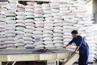 Gạo Việt xuất khẩu ngày càng khẳng định chất lượng, cần kiểm soát chặt gạo nhập khẩu để tránh giả mạo xuất xứ. Ảnh: ĐT