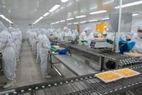 Nhà máy chế biến tôm xuất khẩu trong khu công nghiệp An Nghiệp (tỉnh Sóc Trăng)
