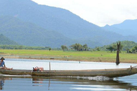 Khu vực bán ngập lòng hồ Sông Hinh nằm trong diện tích đất dự án chăn nuôi bò chất lượng cao Phú Yên từng đề xuất