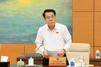 Trưởng Ban Dân nguyện Dương Thanh Bình trình bày báo cáo.