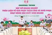 Lãnh đạo tỉnh Đồng Tháp gặp gỡ doanh nghiệp thảo luận về giải pháp thích ứng và khôi phục hoạt động sản xuất - kinh doanh. Ảnh: Nguyệt Ánh