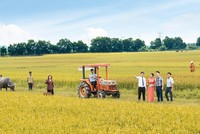 LienVietPostBank: Cho vay nông nghiệp là ưu tiên hàng đầu