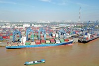 Nếu thu phí cảng biển, doanh nghiệp sẽ càng khó khăn hơn. Ảnh: Lê Toàn