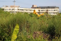 Sau gần 3 năm hoạt động, đến ngày 7/7/2022, Khu du lịch Nghĩa Thuận mới được UBND tỉnh Quảng Ngãi ký quyết định cho chuyển mục đích sử dụng 100.889,2m2 đất nông nghiệp và phi nông nghiệp. Ảnh: Thanh Chung