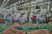 Doanh nghiệp vô cùng khó 