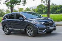 Doanh số bán ô tô tháng 1 giảm mạnh vì Tết? 