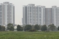 Ảnh minh họa của Mỹ An.