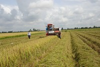 Đưa cơ giới hóa vào sản xuất nông nông nghiệp Đồng Tháp