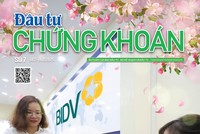 Báo Đầu tư Chứng khoán số 7