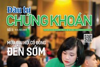 Báo Đầu tư Chứng khoán số 11