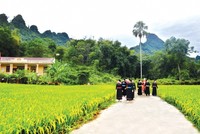 Kịp thời hướng dẫn, tháo gỡ khó khăn trong triển khai các chương trình mục tiêu quốc gia