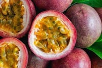 Việt Nam-Trung Quốc ký kết thêm 4 nghị định thư nông nghiệp