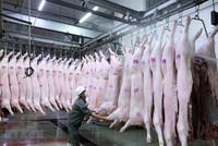 Chủ tịch Hà Nội chỉ thị tăng cường quản lý, kiểm soát giết mổ động vật