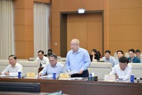 Thứ trưởng Bộ Tài chính Đỗ Thành Trung báo cáo tại phiên họp. Ảnh: HL