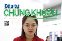 Báo Đầu tư Chứng khoán số 17