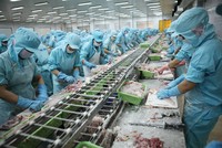 Việt Nam vẫn đang có lợi thế cạnh tranh về thủy sản, với sản phẩm chủ lực là cá da trơn và tôm