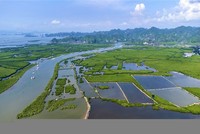 Hải Phòng muốn tái đầu tư nguồn thu từ giao dịch tín chỉ các-bon