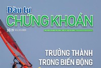Báo Đầu tư Chứng khoán số 19