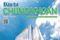 Báo Đầu tư Chứng khoán số 20