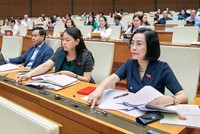 Đa số đại biểu Quốc hội bấm nút tán thành thông qua nghị quyết.