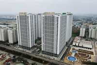 Ảnh minh họa.