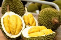 Nhiều doanh nghiệp phải quay đầu bán rẻ sầu riêng nguyên quả ở thị trường nội địa.