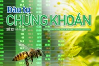 Báo Đầu tư Chứng khoán số 22