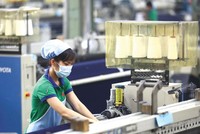 Trụ cột mới trong quan hệ hợp tác đầu tư Việt - Pháp