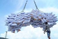 VCCI kiến nghị bãi bỏ loạt quy định cản trở doanh nghiệp xuất khẩu gạo.