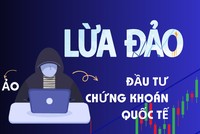 Lập sàn giao dịch chứng khoán trái phép “Fnory” để lừa đảo hơn 200 tỷ đồng