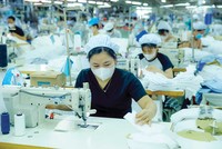 Ngành dệt may đang linh hoạt thích ứng, nắm bắt cơ hội để xuất khẩu (Ảnh: Đức Thanh)
