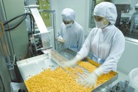 Lĩnh vực y tế, dược phẩm đang được các nhà đầu tư nước ngoài săn đón. Trong ảnh: Sản xuất thuốc tại Traphaco