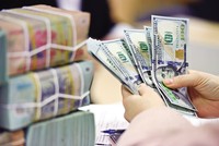 MBS dự báo, tỷ giá USD/VND sẽ dao động trong khoảng 25.500 - 26.000 USD/VND trong năm 2025.