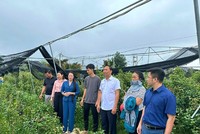 Hà Nội đạt chuẩn nông thôn mới toàn diện sau gần 15 năm triển khai Chương trình mục tiêu quốc gia