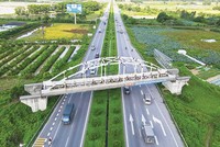 Một cầu đường sắt thi công dang dở trên tuyến đường sắt Yên Viên - Phả Lại - Hạ Long - Cái Lân.